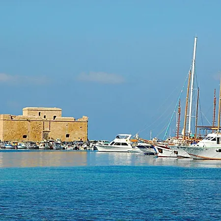 Ibiscus By * Polis