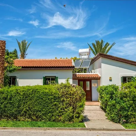 Ibiscus By Полис